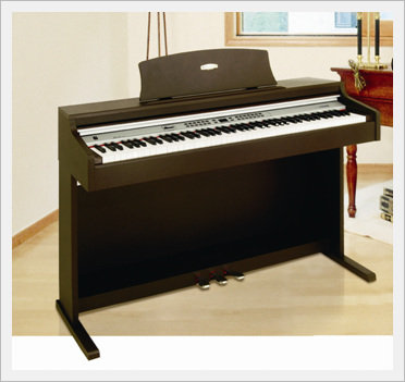 Steinjazz Digital Piano  Made in Korea